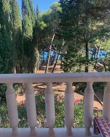 Apartment Antonia Bol